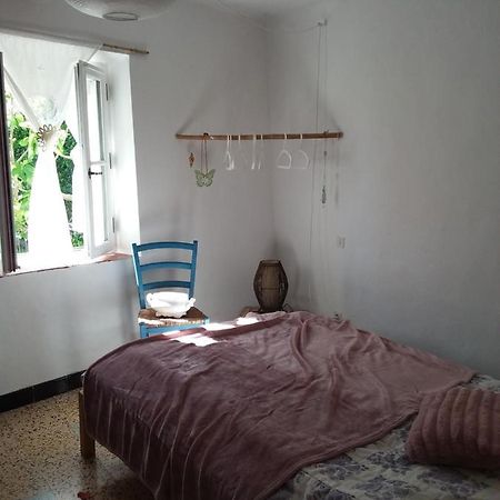 Chambre D'Hotes Ici Bédoin Zewnętrze zdjęcie
